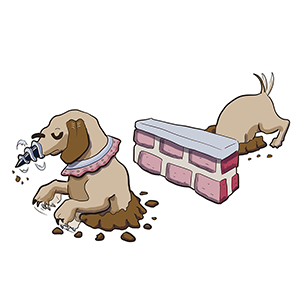 The Drilling Dachshund is the Peleshet army's trained anapest pest.